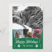 DIY Cat Foto Collage Green Holiday Flat Card Einladung (Vorderseite)
