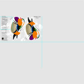 DIY Cut & Sew Plush Männliche Mandarin Duck Stoff (Kachel)