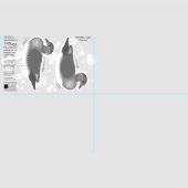 DIY Cut & Sew Plush Weibchen Mandarin Duck Stoff (Kachel)