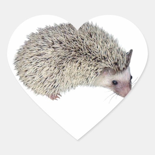 DIY Igel rechts Herz-Aufkleber (Vorderseite)