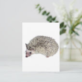 DIY-Igel verlassen Postkarte (Stehend Vorderseite)