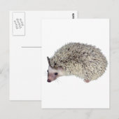 DIY-Igel verlassen Postkarte (Vorne/Hinten)