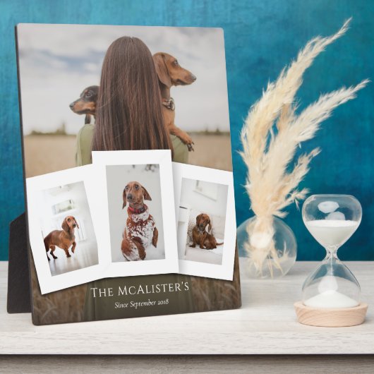 DIY Pet Four Foto Collage Plaque Fotoplatte (Seite)