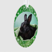 DIY Rabbit on Green Oval Christmas Ornament (Vorderseite)
