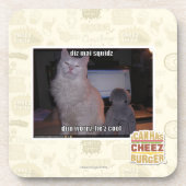 diz MAI squidz Getränkeuntersetzer (Vorderseite)