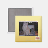 Diz mai squidz magnet (Vorderseite/Rückseite)