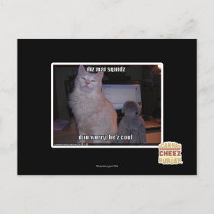 Diz mai squidz postkarte