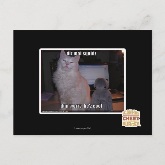 Diz mai squidz postkarte (Vorderseite)