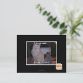 Diz mai squidz postkarte (Stehend Vorderseite)