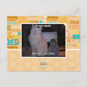 Diz mai squidz postkarte