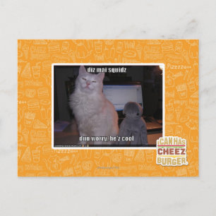 Diz mai squidz postkarte