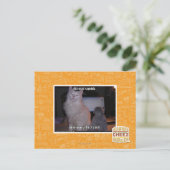 Diz mai squidz postkarte (Stehend Vorderseite)