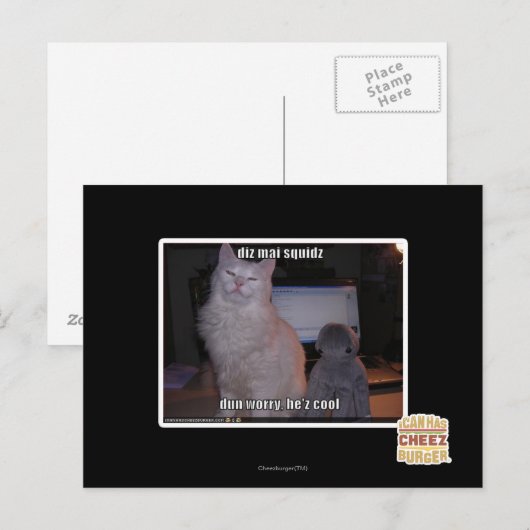 Diz mai squidz postkarte (Vorne/Hinten)