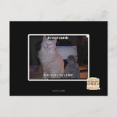 Diz mai squidz postkarte (Vorderseite)