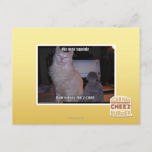 Diz mai squidz postkarte