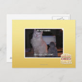 Diz mai squidz postkarte (Vorne/Hinten)