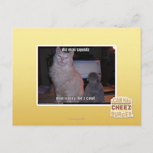 Diz mai squidz postkarte (Vorderseite)