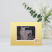 Diz mai squidz postkarte (Stehend Vorderseite)