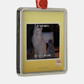 Diz mai squidz silbernes ornament (Rechts)