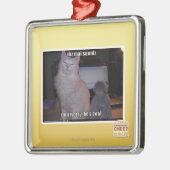 Diz mai squidz silbernes ornament (Links)