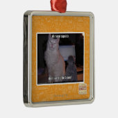 Diz mai squidz silbernes ornament (Rechts)
