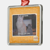 Diz mai squidz silbernes ornament (Links)