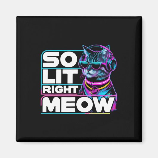 Dj Cat so weit rechts Meow Edm Techno Rave Party F Magnet (Vorne)