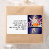 DJ Cat Turntable Mixer (Insitu)