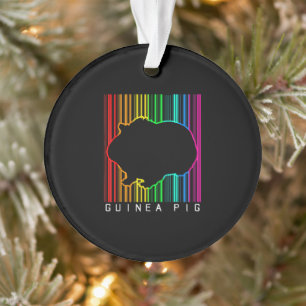 DJ Guinea Pig Techno Edm Animal Rave Star Rainbow Ornament