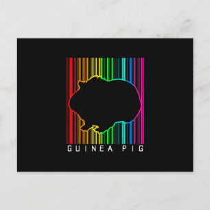 DJ Guinea Pig Techno Edm Animal Rave Star Rainbow Postkarte