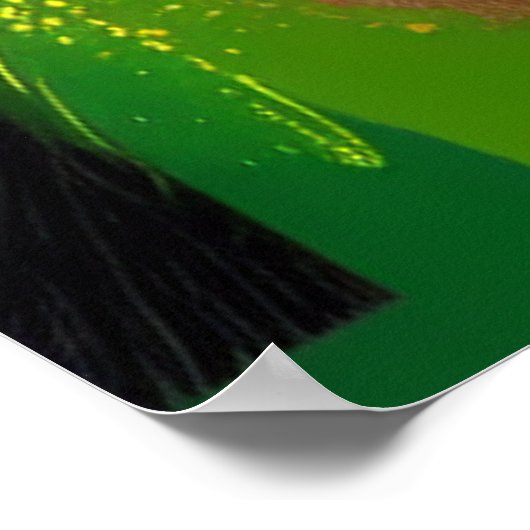 DJ Monkey Print, Stilvolle Farbbrille, Chimp Poster (Ecke)