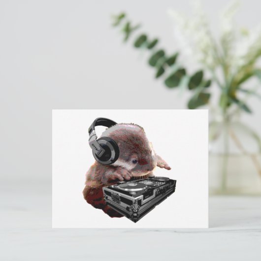 DJ None Otter Postkarte (Stehend Vorderseite)