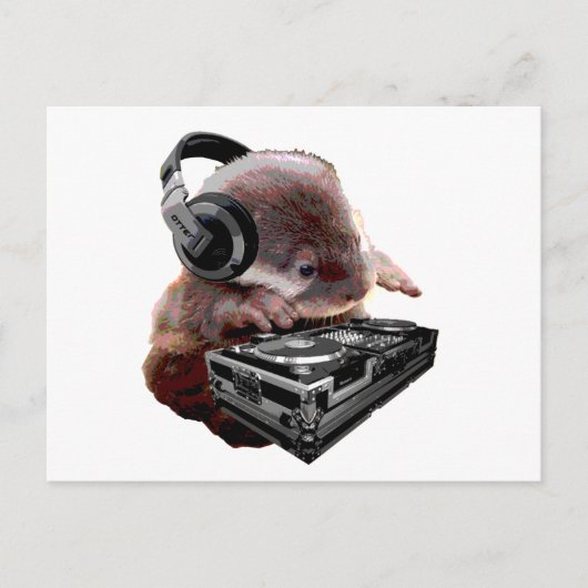 DJ None Otter Postkarte (Vorderseite)