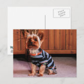 DJ - Yorkshire Terrier - Smith Postkarte (Vorne/Hinten)