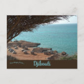 Djibouti Postcard Postkarte (Vorderseite)