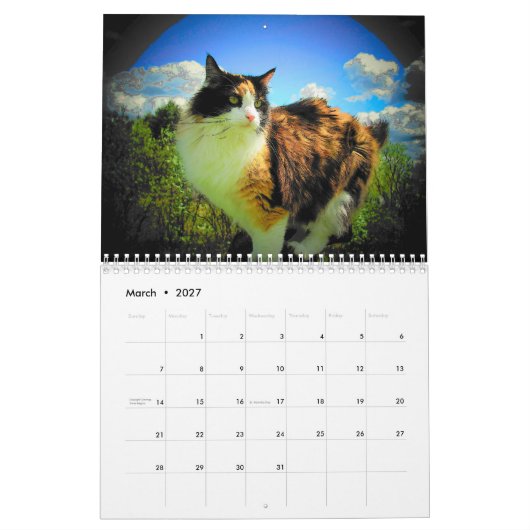 DJ's Artisticats von Djoneill Kalender (Mär 2027)
