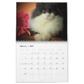 DJ's Artisticats von Djoneill Kalender (Feb 2027)