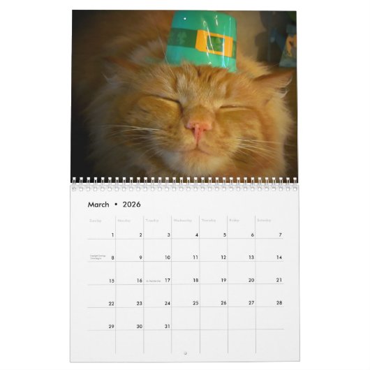 DJ's Cat Style 2 Kalender (Mär 2026)