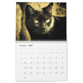 DJ's Cat Style 2 Kalender (Jan 2027)