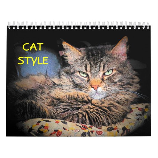 DJ's Cat Style Kalender (Titelbild)