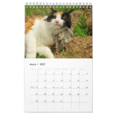 DJ's Cats One Page Kalender (Mär 2027)