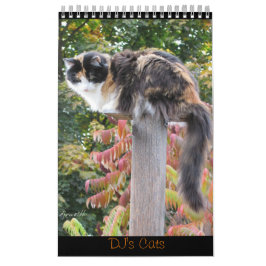 DJ's Cats One Page Kalender