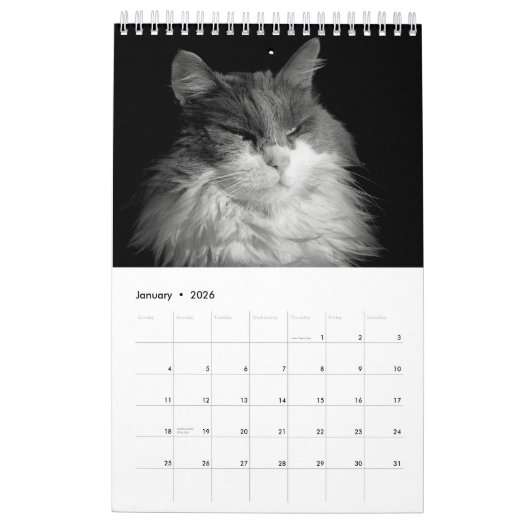 DJ's Cats One Page Kalender (Jan 2026)