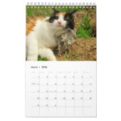 DJ's Cats One Page Kalender (Mär 2026)