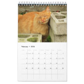 DJ's Cats One Page Kalender (Feb 2026)