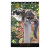 DJ's Cats One Page Kalender (Titelbild)