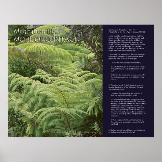 DK Meditation Series: Meditation III Poster (Vorne)