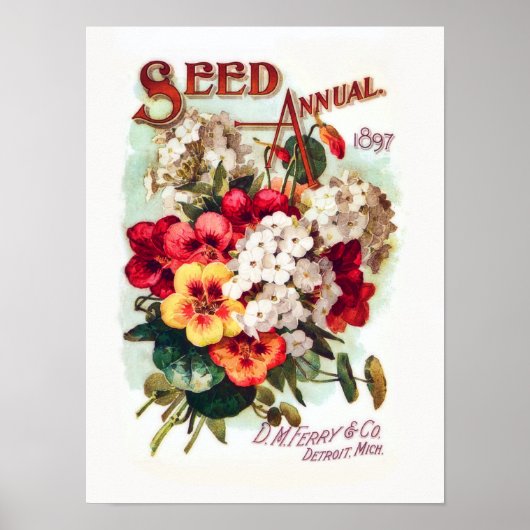 DM Blume Saatgut Vintage Werbung Poster (Vorne)