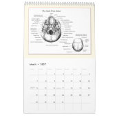 DM entbeint Kalender (Mär 2027)