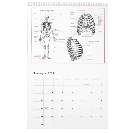 DM entbeint Kalender (Jan 2027)